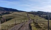 Tour Wandern Bliensbach - 2020-02-15 Marche Blancherupt Perheux - Photo 6