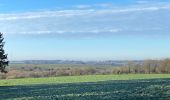 Tour Wandern Gerpinnes - Beau soleil d’hiver - Photo 1