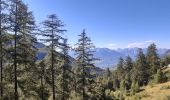 Trail Walking Les Orres - lac sainte marguerite montee par la piste redescente par la cabane d eyssalette - Photo 1