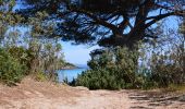 Trail Walking Hyères - Ile de Porquerolles - Photo 14