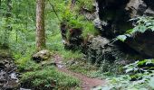 Trail Walking Vresse-sur-Semois - Laforet 240522 - Photo 4