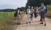 Trail Walking Altkirch - rando Lerchenberg Altkirch - Photo 2