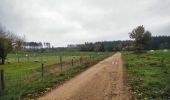 Tour Mountainbike Wirten - La chaussée romaine entre Etalle et Sampont  -  Balade_VTT_53kms - Photo 19