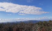 Tour Wandern Vallon-Pont-d'Arc - Les balcons de l'ibie  09/02/2023 - Photo 2