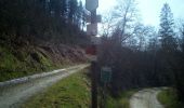 Trail Walking Vresse-sur-Semois - Nafrature Houdremont - Photo 14
