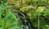 Tocht Stappen Collonges-la-Rouge - colonge - Photo 16