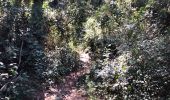 Trail Walking Mougins - Basique - Photo 9