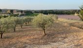 Tocht Stappen Lambesc - Autour de LAMBESC - Photo 3