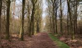 Randonnée Marche Horst aan de Maas - Schadijkse Bossen - Photo 4