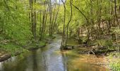 Trail Walking Daverdisse - Gembres 27,2 km - Photo 17