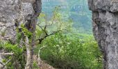 Tour Wandern Roquefort-sur-Soulzon - le Combalou par le sentier des échelles - Photo 3