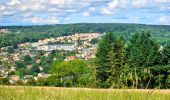 Trail Walking Meaux - Le chemin de St Colomban en Ile de France Etape 3 Jouarre Meaux - Photo 2