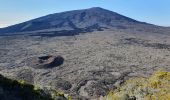 Randonnée Marche Sainte-Rose - Piton de la Fournaise (cratère Dolomieu) - Piton Partage - Photo 15