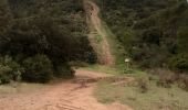 Trail Walking Cuers - Cuers .la bouisse , le roucas de mounier - Photo 11