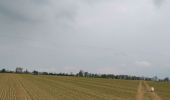 Tour Wandern Saint-Jacques-d'Aliermont - St Jacques d'aliermont-ste agathe - Photo 4