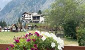 Trail Walking Cogne - 1 Cogne Valnontey Refuge Victorio Sella 2584 m +850 m - 0 m - Photo 7