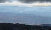 Trail Walking Andon - Canaux Audibergue Montagne de Thiey depuis Canaux trace réelle - Photo 15