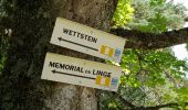 Trail Walking Orbey - Memorial du Linge - Photo 10