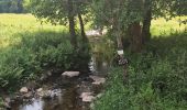 Trail On foot Bouillon - Lannoo GrWandArd 79 Bellevaux de watermolenwandeling (PVDB) - Photo 8
