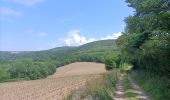 Tocht Noords wandelen Plomodiern - lestrevet via Ménez hom - Photo 3