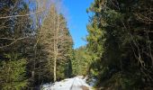 Trail Walking Gérardmer - Les Bas-Rupts - Les Hautes Vannes
[Par Les Lattes - 3]  - Photo 4