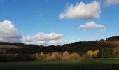 Trail Walking Manhay - De l'autre côté de la chavée - Photo 17