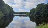 Tour Wandern Pontivy - GR_37_DE_25_Pontivy_Cleguerec_20210826 - Photo 6