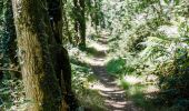 Trail Walking Saint-Derrien - St-Derrien randonnée vers Moulin de Lansolot - Photo 9