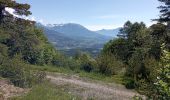 Tour Wandern Chorges - Serre-Ponçon le 03 06 2024 (Col Lebrault) - Photo 3