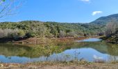 Percorso Marcia Fréjus - lac de l avellan - les Adrets - Photo 20