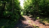 Tour Wandern Trosly-Breuil - en forêt de Compiègne_28_les Tournantes sur le Mont Saint-Mard et sur le Mont Collet - Photo 14