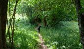 Tour Wandern Presles - Fontaine de Pétouze- Grotte des boeufs - Photo 2