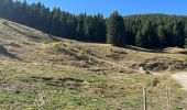 Randonnée Marche Saint-Jean-d'Aulps - Les Mellis, La chaux , le col de l’écuelle , le pré nouveau  - Photo 7