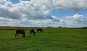 Tocht Stappen Genepiën - petit tour par le Sclage. - Photo 2