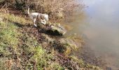 Trail Walking La Chapelle-de-Guinchay - balade - Photo 1