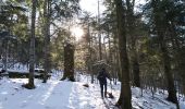 Tour Wandern Sewen - Sewen chalet du Graber - Photo 17