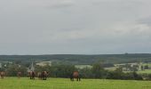 Trail Walking Sainte-Ode - rando beauplateau 24-08-2023 - Photo 1