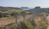 Tocht Stappen La Croix-Valmer - gigaro. CAP taillat, Cap lardier  - Photo 5