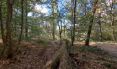 Excursión Senderismo Saint-Rémy-lès-Chevreuse - Virade de St Remy Parcours jaune - Photo 20