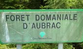 Trail Walking Curières - Cascade du devèz et fosse à loup - Photo 1