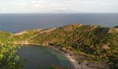 Randonnée Marche Terre-de-Haut - Les Saintes - J1 - Photo 10