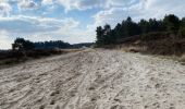 Tour Wandern Kalmthout - Kalmthout bis 20 km - Photo 4