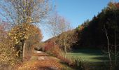 Tour Zu Fuß Walting - Rundwanderweg Eichstätt Nr. 3 - Photo 6