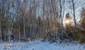 Trail Walking Sprimont - compagne de florzé dans la neige - Photo 7