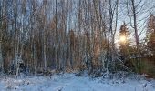 Percorso Marcia Sprimont - compagne de florzé dans la neige - Photo 7