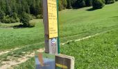 Trail Walking Villard-de-Lans - Sentier Gobert - Photo 7