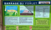 Trail Walking Soultzeren - Tanet-Gazon du Fain-Tanet - Photo 12