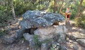 Tocht Stappen Argelès-sur-Mer - valmy-LaMassane_T - Photo 10