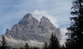 Trail On foot Cortina d'Ampezzo - IT-222 - Photo 1