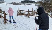 Excursión Raquetas de nieve Büllingen - Manderfeld (PVDB) - Photo 3